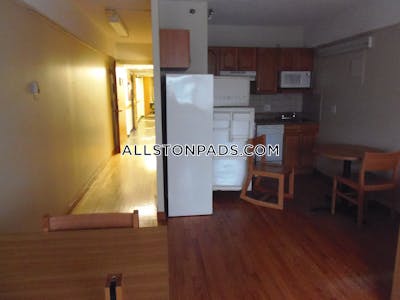 Allston Apartment for rent Studio 1 Bath Boston - $2,150