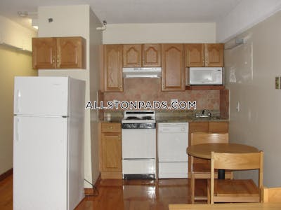 Allston Apartment for rent Studio 1 Bath Boston - $2,100