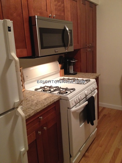 Brighton 1 Bed 1 Bath Boston - $2,395