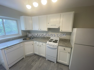 Brighton 2 Bed 1 Bath BOSTON Boston - $3,000 No Fee