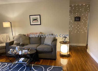 Brighton 2 Bed 1 Bath BOSTON Boston - $2,990