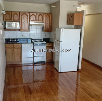 Allston Studio 1 Bath Boston - $2,100