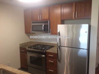 Dorchester Apartment for rent 1 Bedroom 1 Bath Boston - $4,036 No Fee