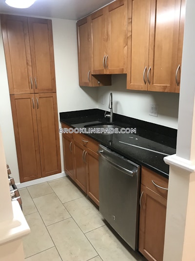 Brookline Apartment for rent 2 Bedrooms 1.5 Baths  Chestnut Hill - $3,760 No Fee