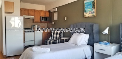 Allston Apartment for rent Studio 1 Bath Boston - $2,150