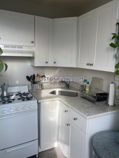 Allston Apartment for rent 1 Bedroom 1 Bath Boston - $2,480