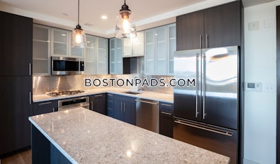 West End 1 bedroom  Luxury in BOSTON Boston - $4,358