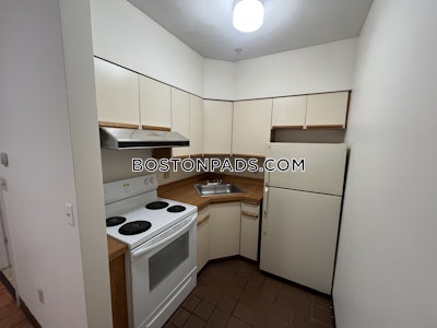 Downtown 1 Bed 1 Bath Boston - $2,500