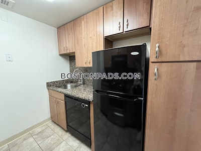 Back Bay Apartment for rent 1 Bedroom 1 Bath Boston - $3,425