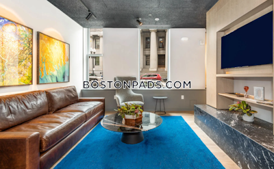 Downtown 1 bedroom 1 baths Luxury in BOSTON Boston - $3,163