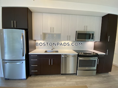 West End Apartment for rent 2 Bedrooms 2 Baths Boston - $5,887